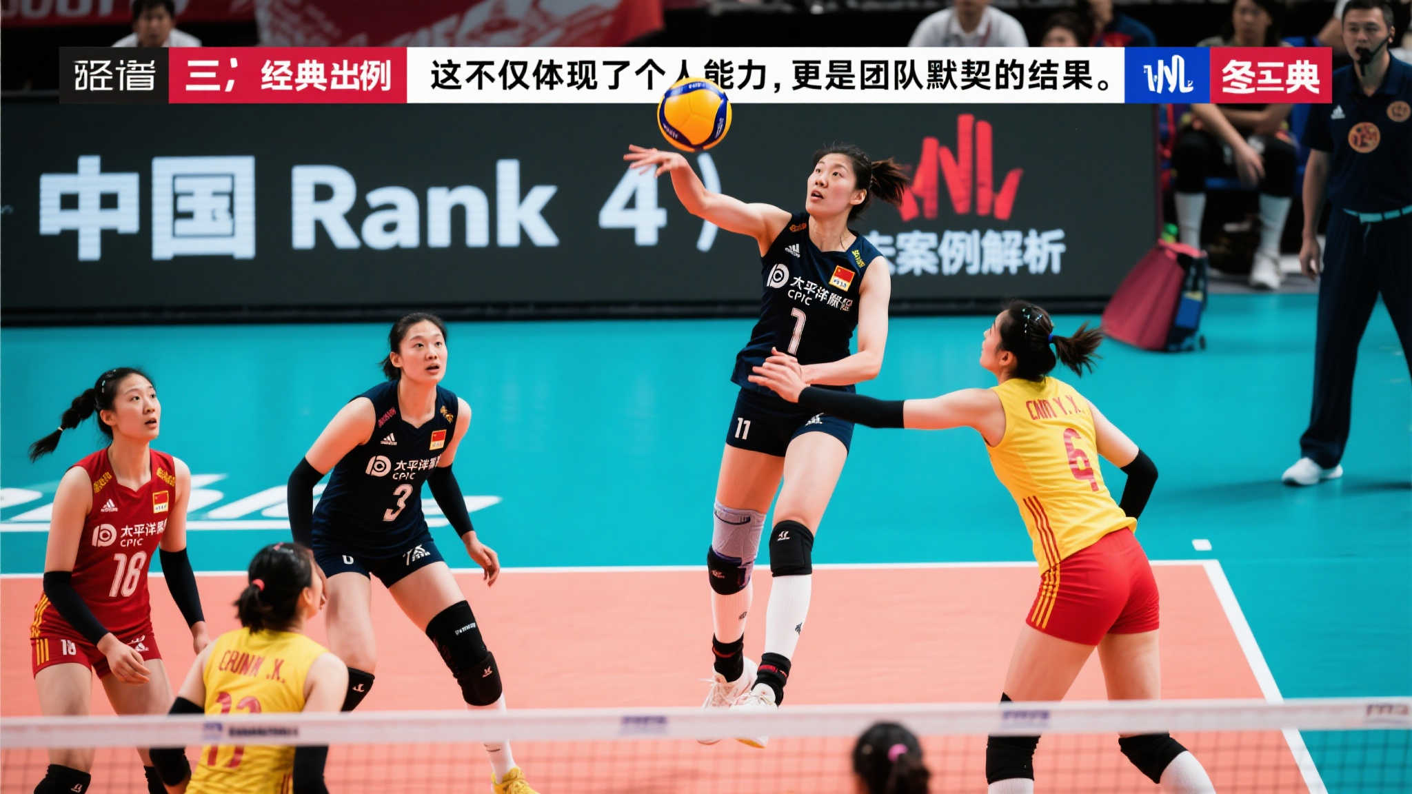 可谓是这一 可谓是这一